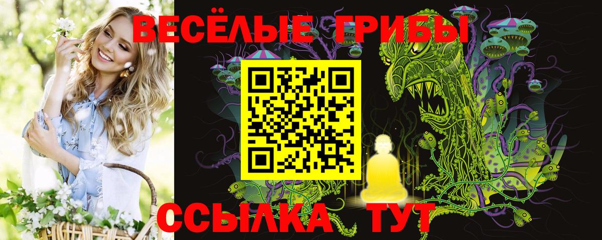 Каменка  Галлюциногенные грибы мицелий  Вход с VPN 