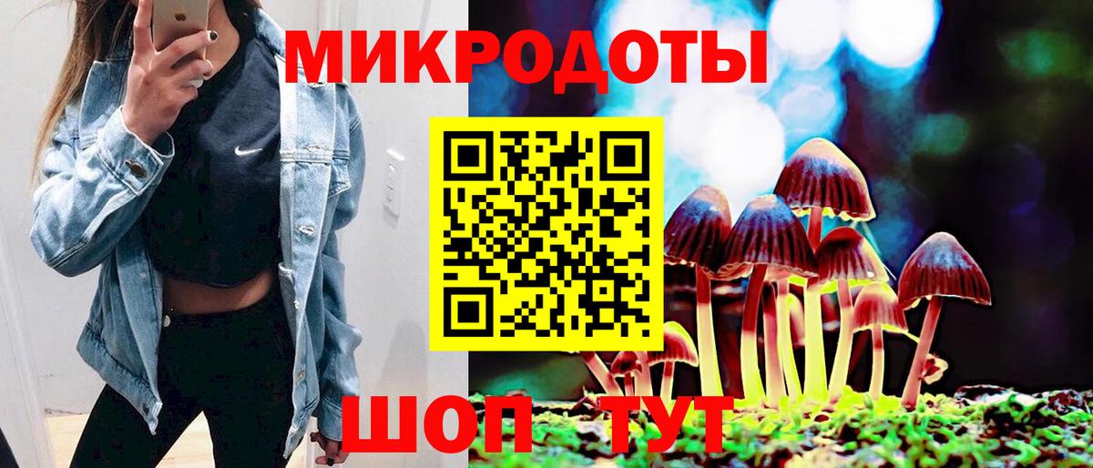 Псилоцибиновые грибы Psilocybine cubensis Каменка