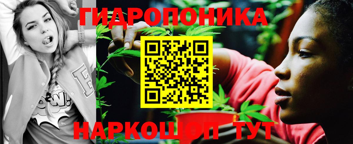 Бошки марихуана индика  Вход с VPN  Конопля LSD WEED  Каменка  Шишки марихуана THC 21%  Шишки марихуана THC 21% 